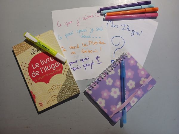 Lire la suite à propos de l’article Comment trouver son Ikigai : 4 étapes clés